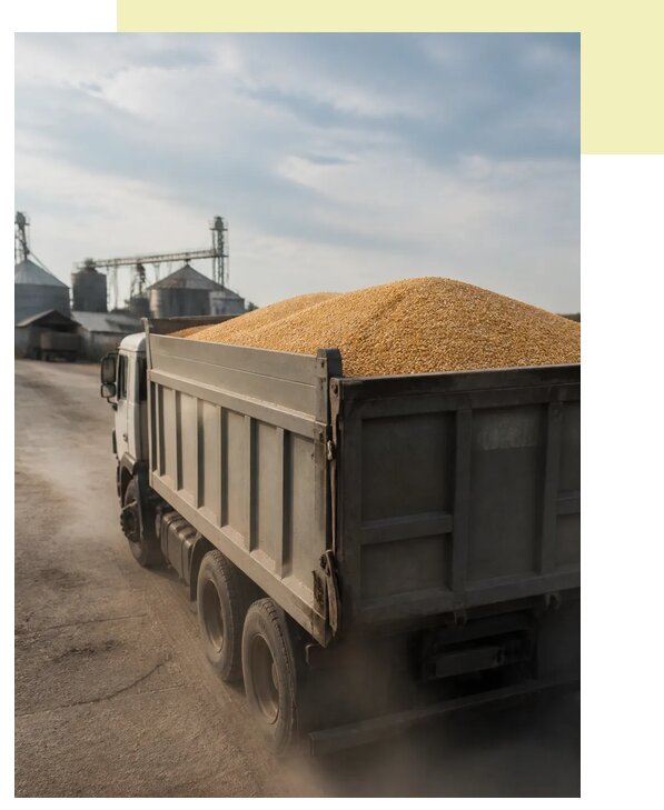 Перевозка сельхозпродукции навалом в Видное по цене от 3105 р. | Агросервис-Вдн